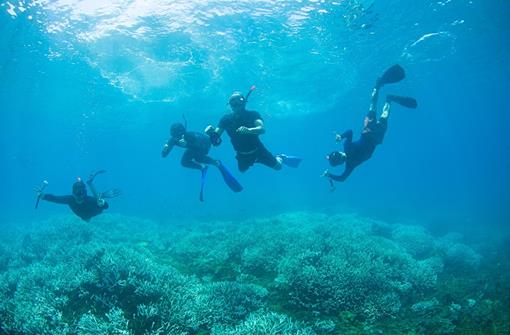 Heat stress and hope: How field data from Asia’s coral reefs can help us improve climate resilience