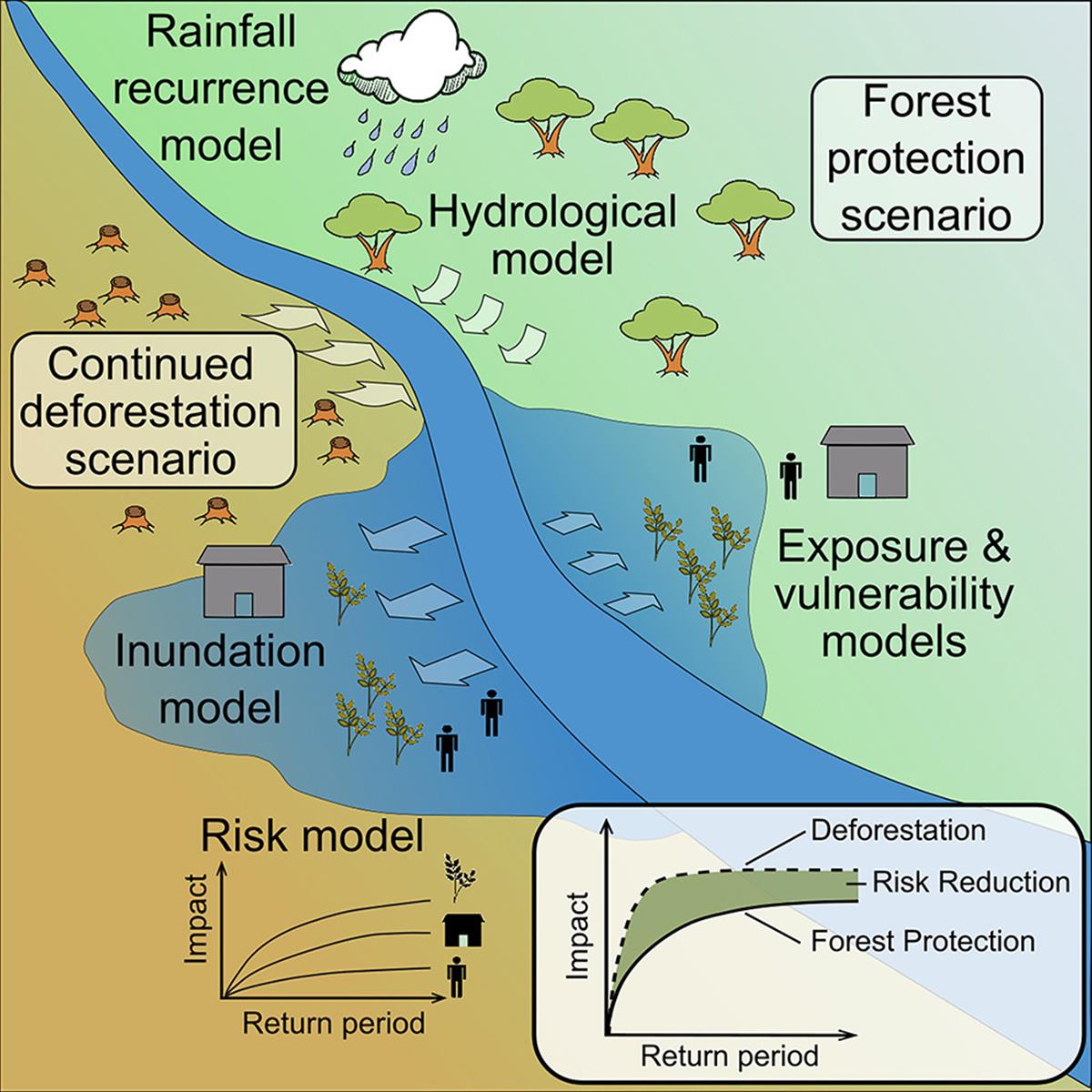 The new framework combines a range of parameters to quantify the benefits of forests on flood risk reduction (Source: David Lallemant/One Earth, graphic by Mariano Balbi)