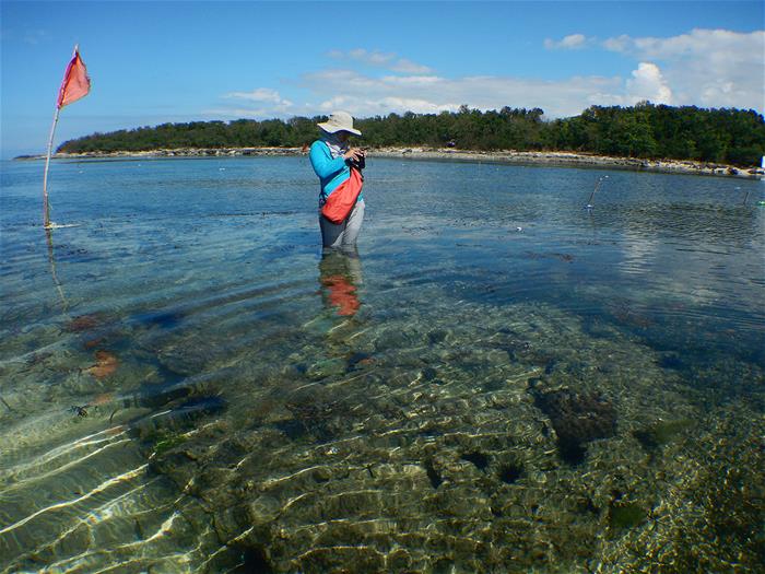 Gina documenting a coral microatoll at a field site (Source: Loraine Faye Sarmiento/University of the Philippines)