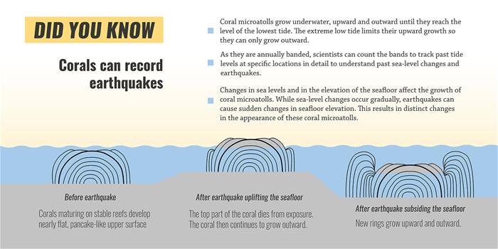 MentawaiEq_Image3_Coral infographic