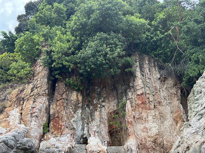 An outcrop at Tanjong Rimau (Source: Cheryl Han/Earth Observatory of Singapore)