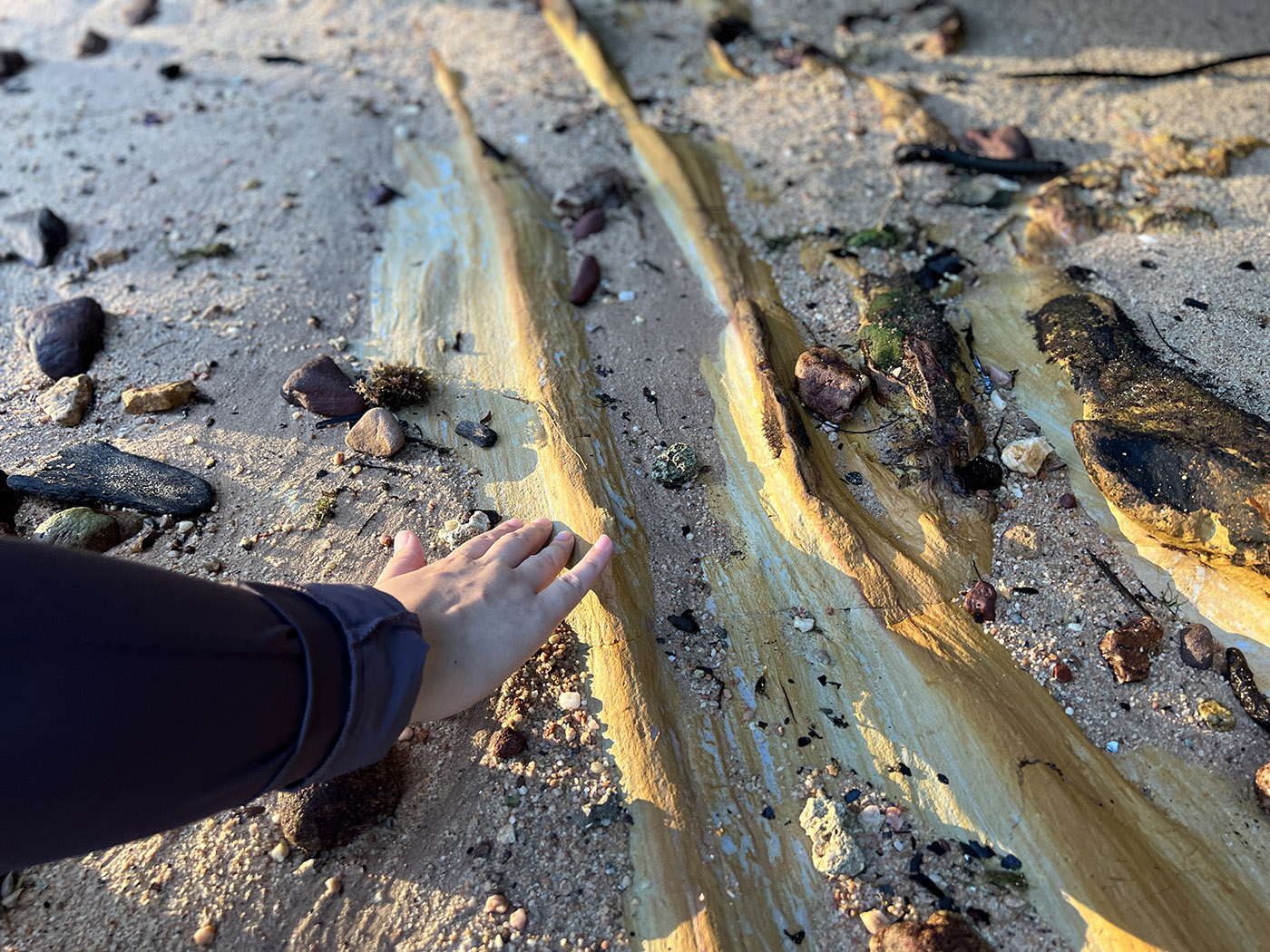 A paleosol rock formation on the beach along the Tanjong Rimau outcrops (Source: Cheryl Han/Earth Observatory of Singapore)