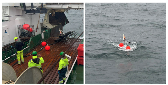 Screenshot 2025-01-23 at 11.41.26 AM Screenshot 2025-01-23 at 11.41.26 AM