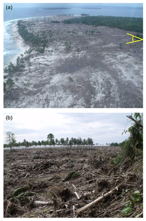 Photos showing tsunami damage on Sibigau Island. (a) shows an aerial view, and (b), a ground-based view from the forest trimline (Source: Hill et al, 2012)