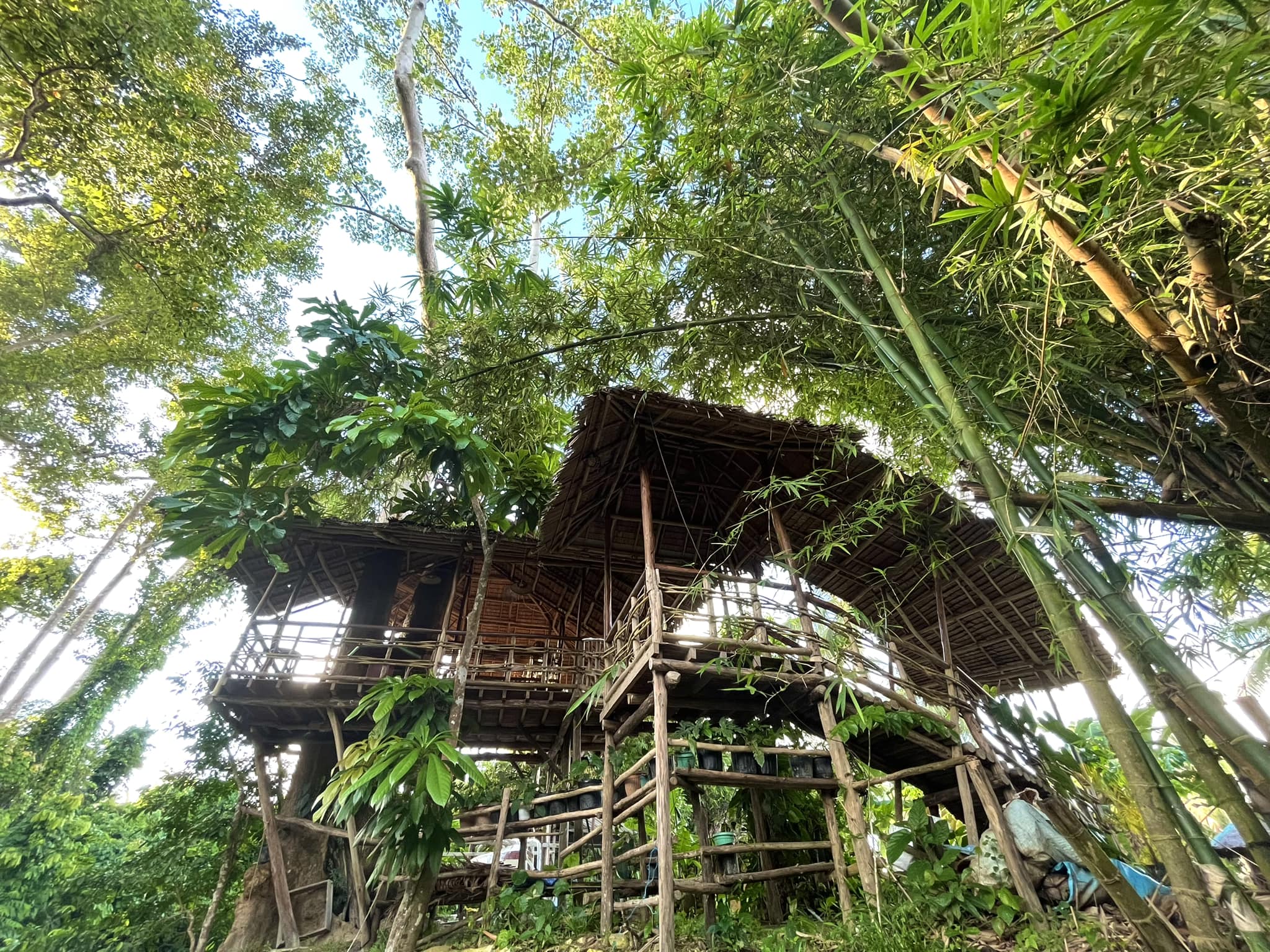 Image2_Minda_treehouse