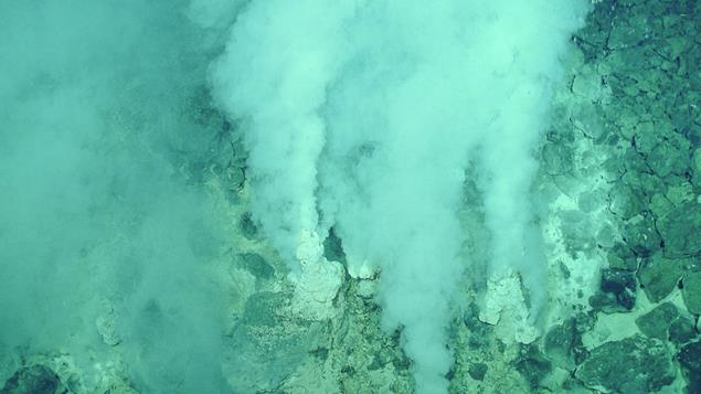 What are hydrothermal vents and why are they found along mid-ocean ridges?