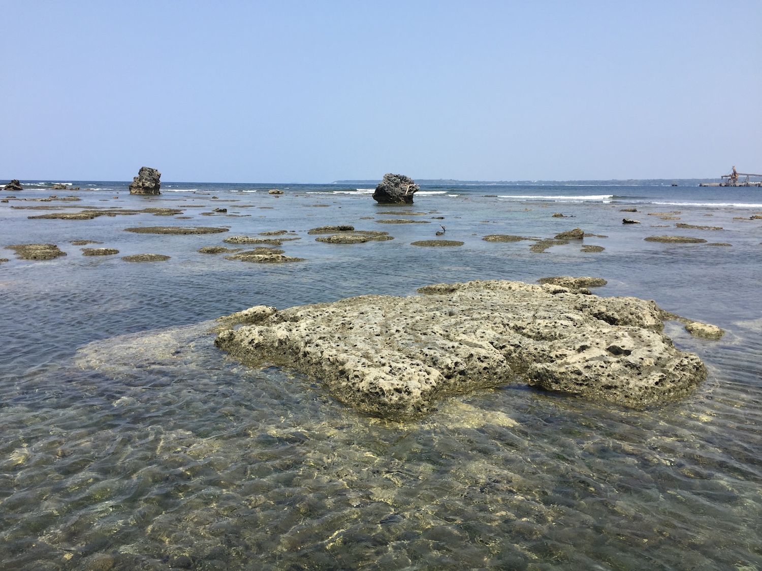 Scientists involved in the study, led by Dr Aron Meltzner, used measurements of the concentric growth rings of coral microatolls to determine past sea levels. They discovered that sea level in Southeast Asia rose significantly 6,000 years ago (Source: Aron Meltzner) Scientists involved in the study, led by Dr Aron Meltzner, used measurements of the concentric growth rings of coral microatolls to determine past sea levels. They discovered that sea level in Southeast Asia rose significantly 6,000 years ago (Source: Aron Meltzner)
