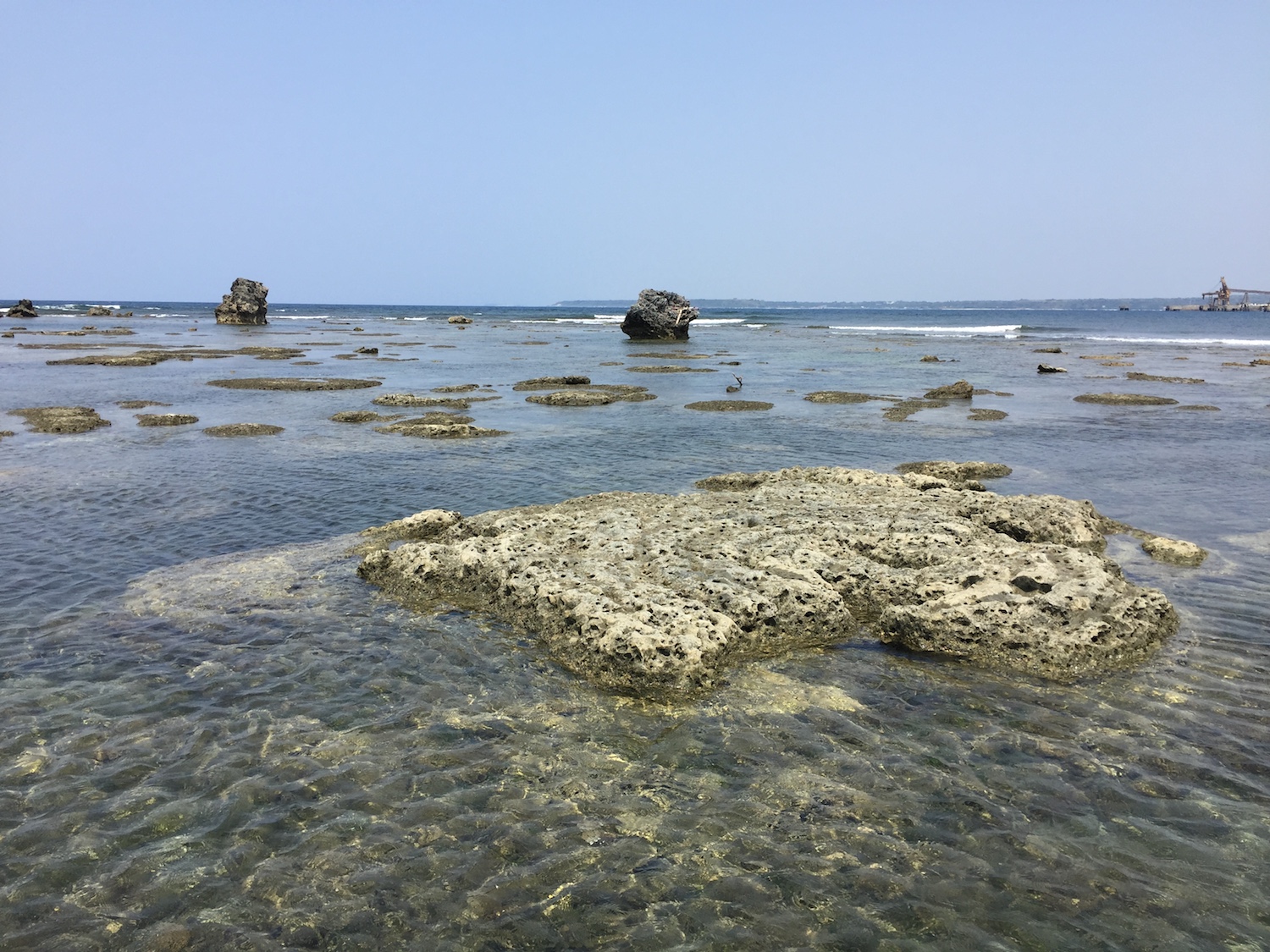 Scientists involved in the study, led by Dr Aron Meltzner, used measurements of the concentric growth rings of coral microatolls to determine past sea levels. They discovered that sea level in Southeast Asia rose significantly 6,000 years ago (Source: Aron Meltzner)