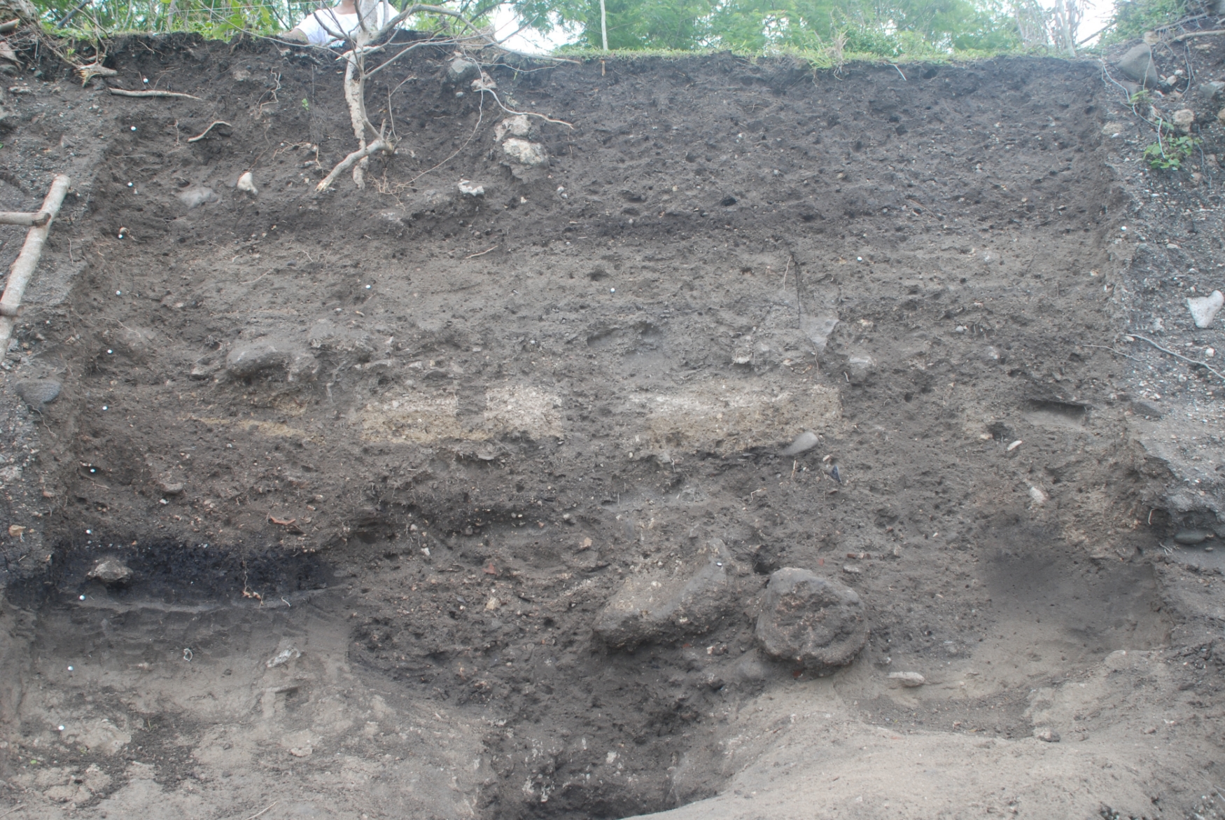 Cleaned back beach cliff showing a series of intercutting pits dating from the early 13th century, covered by a crushed lime foundation for a structure. The deposit directly above the structure was laid down by a tsunami around the end of the 14th century (Source: Patrick Daly/Earth Observatory of Singapore)