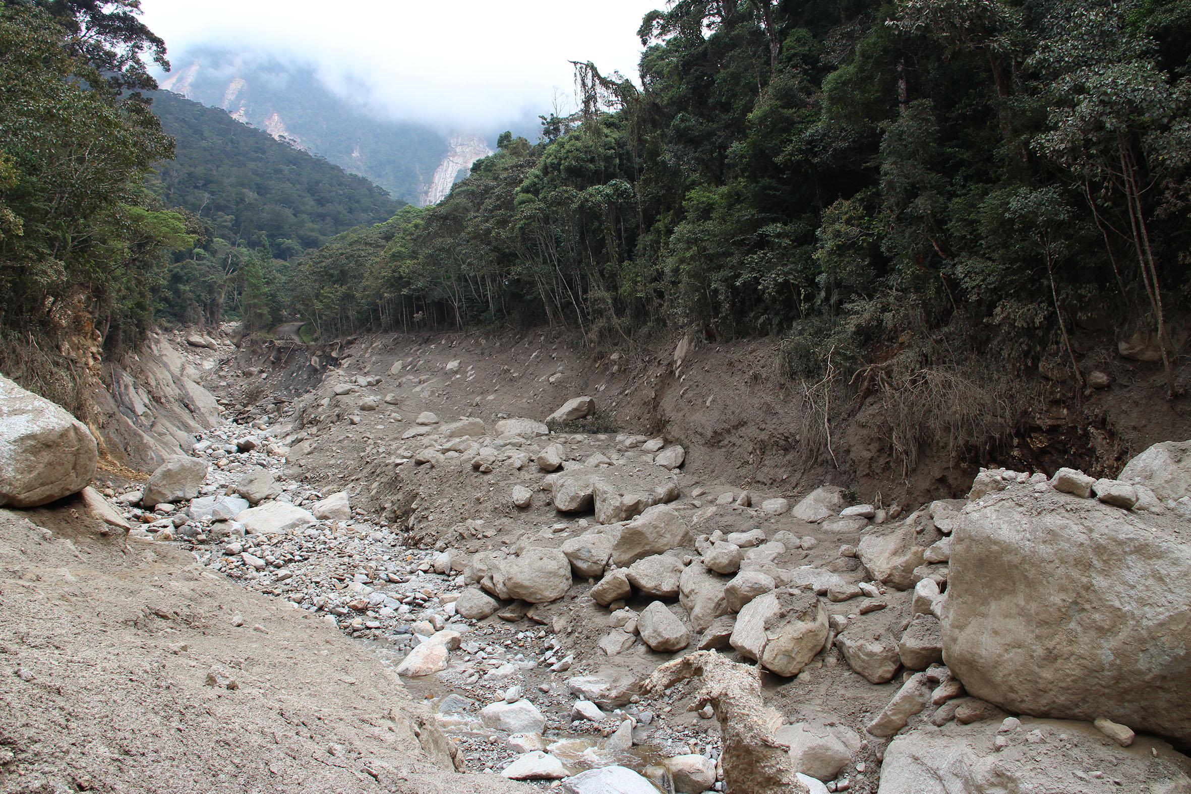 A landslide caused by the magnitude-6.0 earthquake (Source: Yvonne Soon)