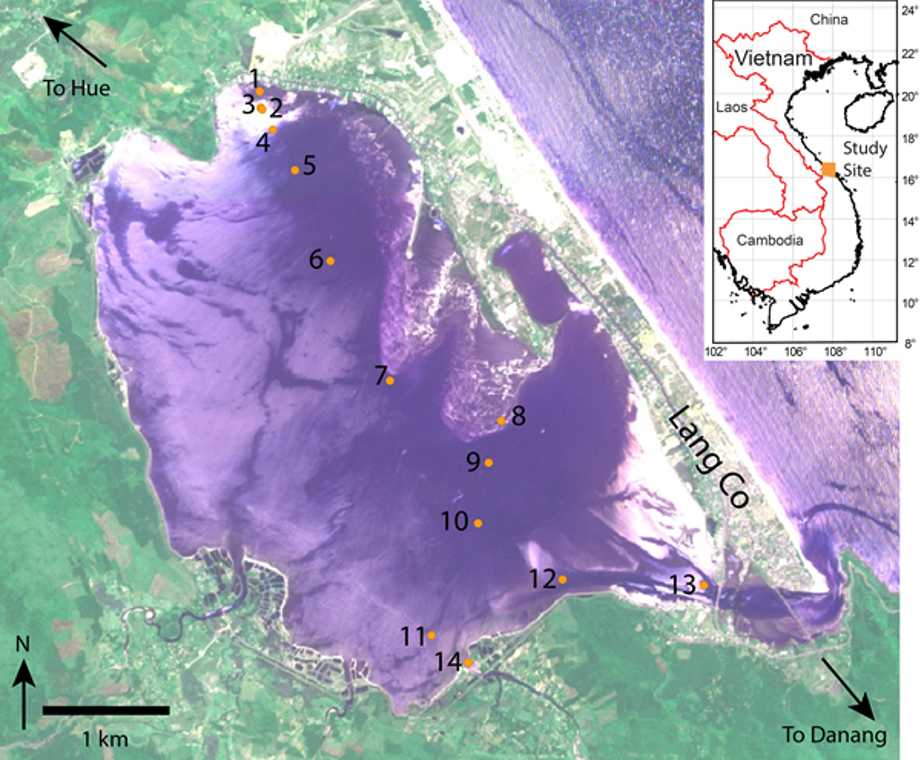 Lap An Lagoon in central Vietnam showing the location and distribution of grab sample sites (black numbers) representative of the sub-environments within the lagoon (Source: RapidEye satellite image collected on 23 April 2012)