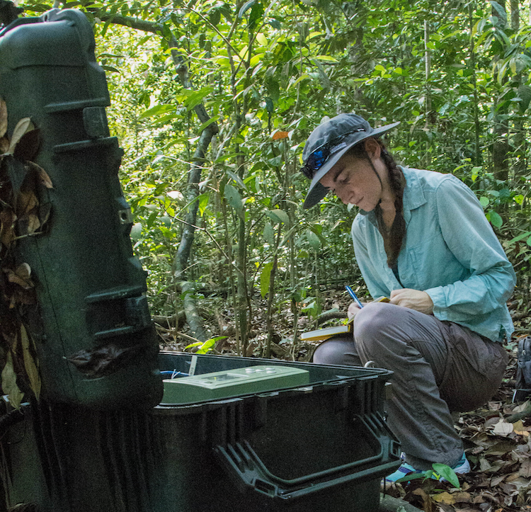 Research Associate Anna Perttu maintains a station from the Singapore Infrasound Network (Source: Benoit Taisne/Earth Observatory of Singapore)