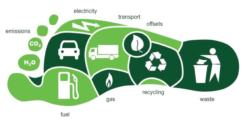 Main activities that contribute to Carbon Footprint (Source: BioNinja)
