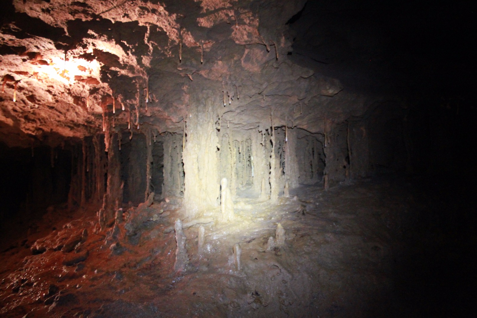 Dr Wang studies rocks inside caves to uncover historical climate patterns and make predictions of future climate change (Source: Wang Xianfeng) 
