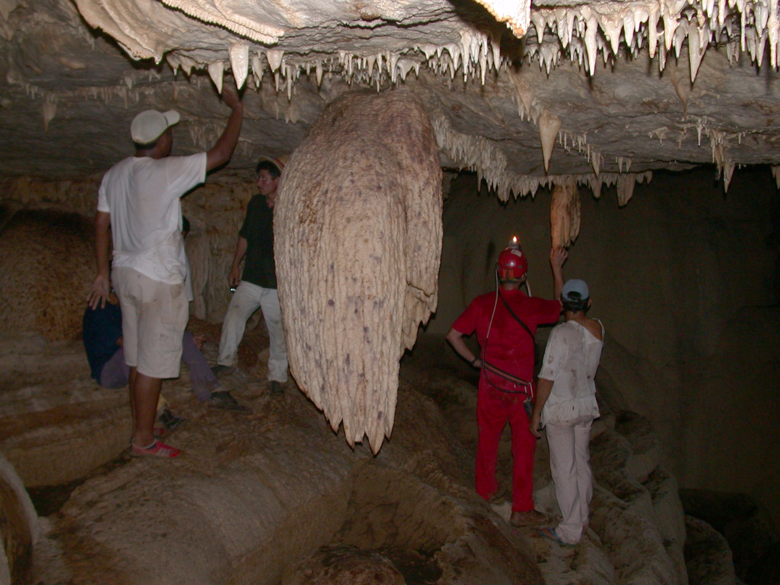 Stalagmites in a cave in the Amazon (Source: Wang Xianfeng)