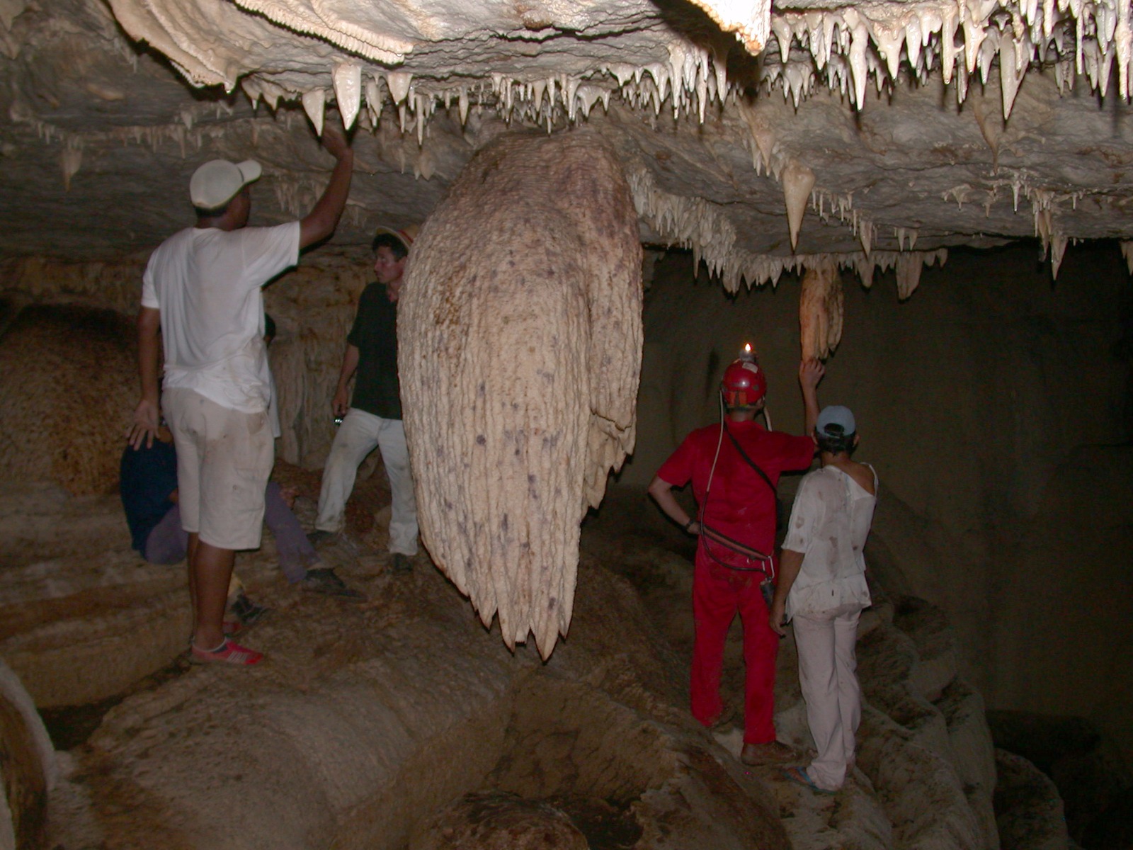 Stalagmites in a cave in the Amazon (Source: Wang Xianfeng) Stalagmites in a cave in the Amazon (Source: Wang Xianfeng)
