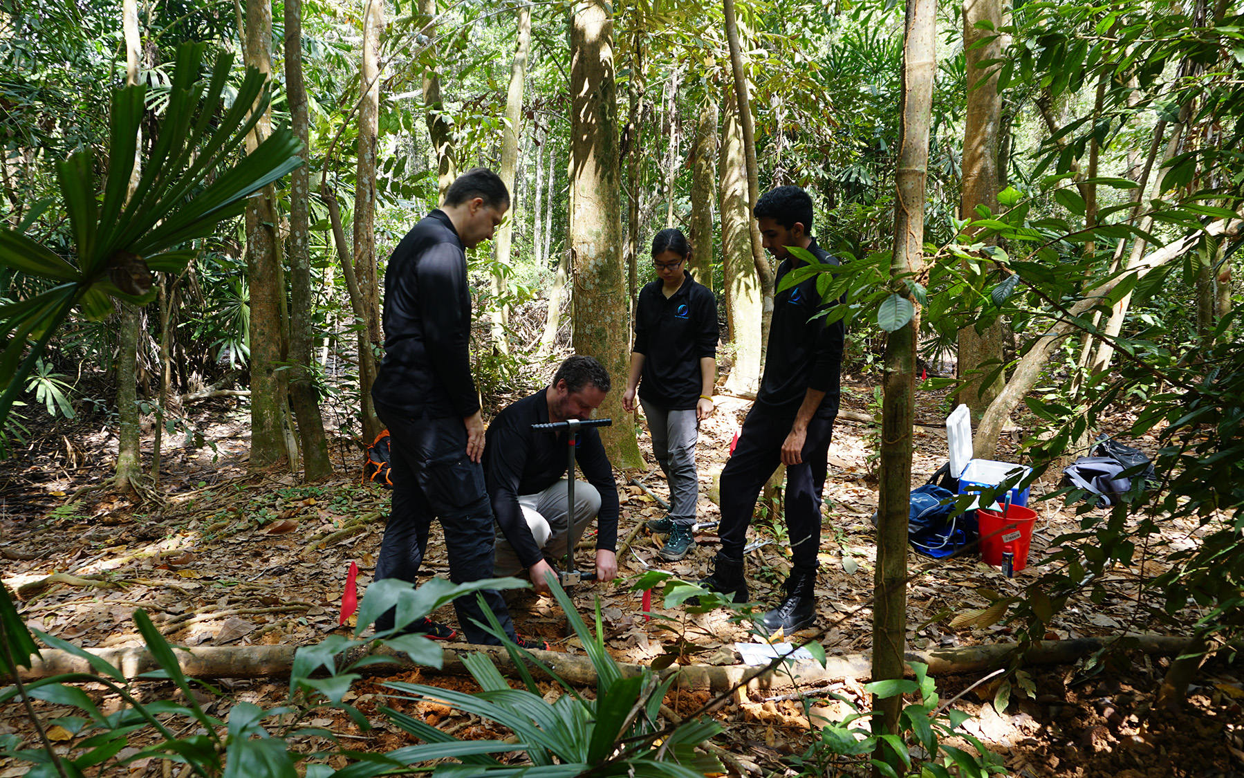 Researchers from the Sea Level Research team collecting sediment core samples from Pulau Ubin (Source:Cheryl Han/Earth Observatory of Singapore)