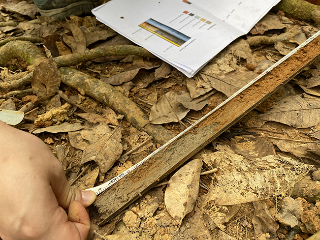 A cross-section view of a sediment core (Source: Cheryl Han/Earth Observatory of Singapore) 