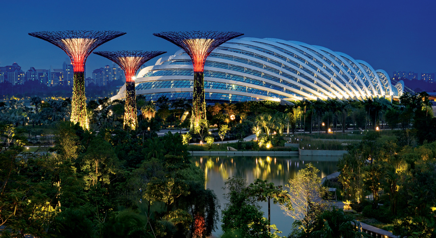 Gardens by the Bay (Source: Gaia Health Blog, “Garden Grafitti”)