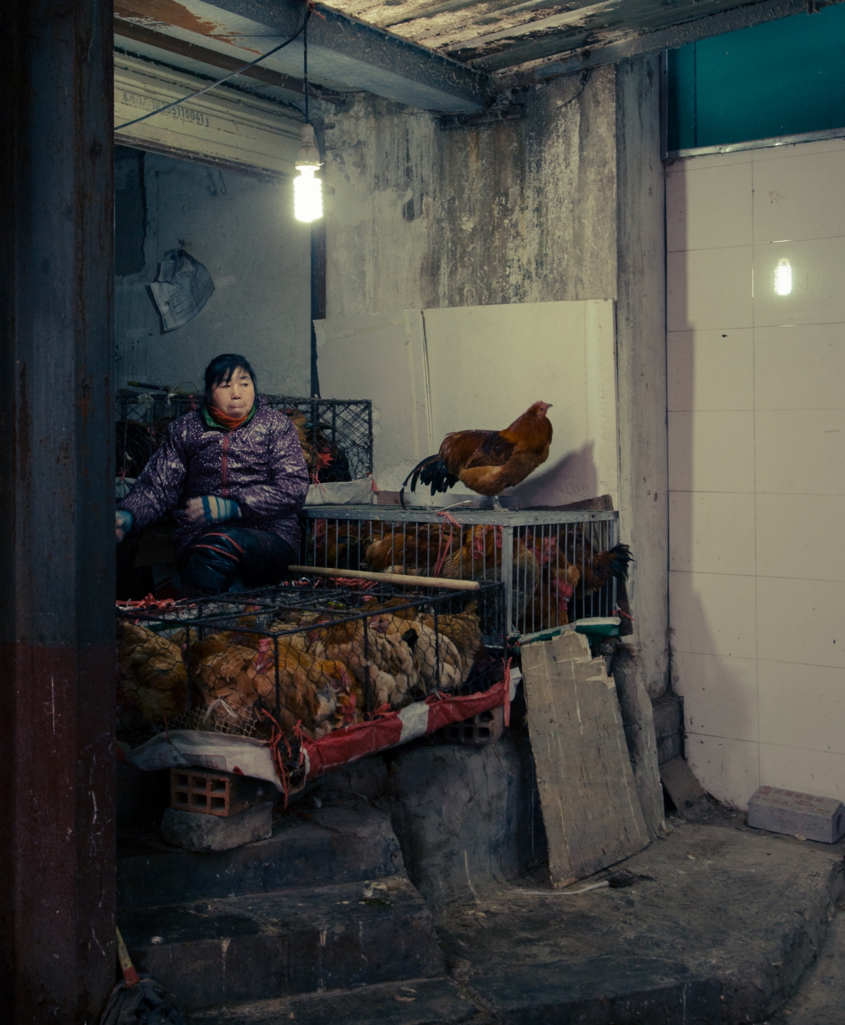 COVID-19 is widely believed to have originated from a live animal market in Wuhan, China (Source: Hao Rui/Unsplash)