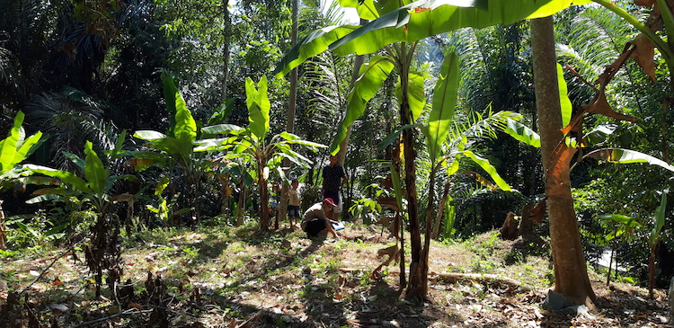 Team from the Earth Observatory of Singapore and Bandung Institute of Technology deploying seismic nodes in Lombok during the earthquakes (Source: Muzli)