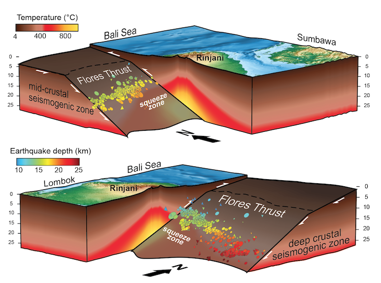 Schematic of what is happening below Lombok. The Flores Thrust is the geological fault that runs below the northern coast of Lombok. Earthquakes recorded by the seismic instruments are plotted as circles. Temperature variations in the crust controlled how the fault ruptured (Source: Kyle Bradley/Earth Observatory of Singapore)
