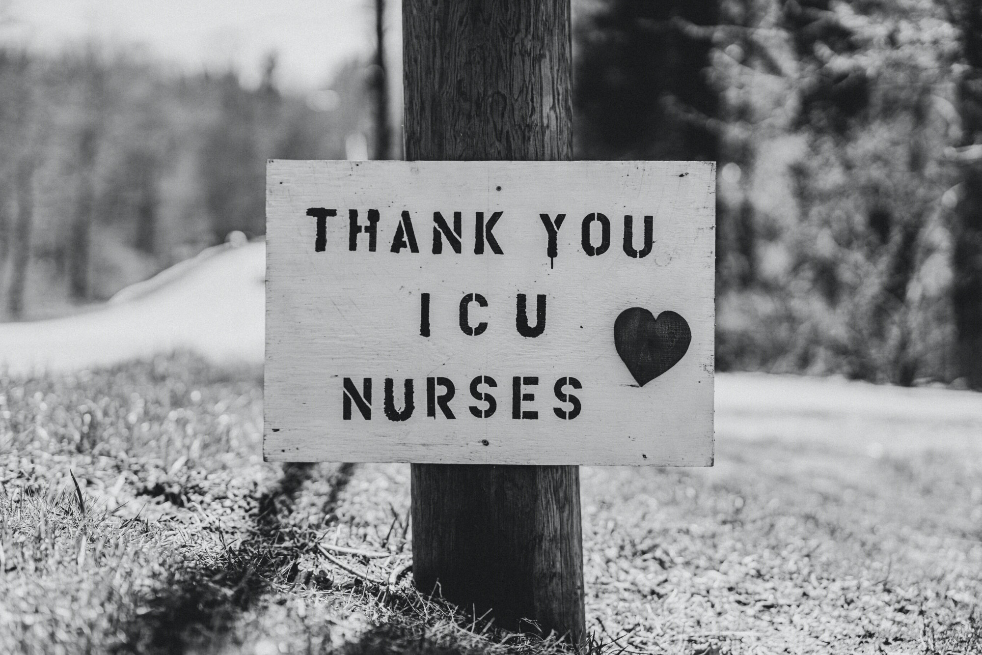 A ‘Thank You’ sign on a telephone pole in Connecticut, USA, to celebrate the efforts of ICU nurses during the COVID-19 pandemic (Source: Nicholas Bartos/Unsplash)