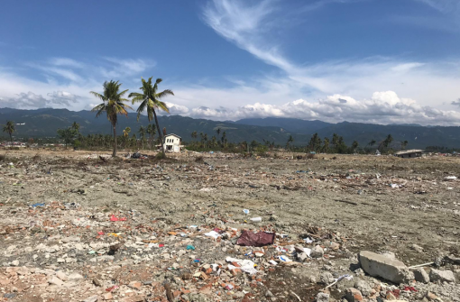Understanding the 2018 Palu Earthquake