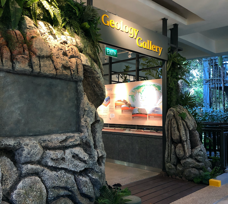 Entrance of the new Geology Gallery at Sentosa Nature Discovery, with the rock collection in the background (Source: Nguyen Thi Nam Phuong/Earth Observatory of Singapore)
