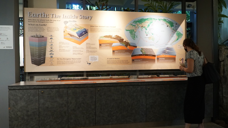 The rock collection of the Geology Gallery is complemented by compelling displays (Source: Rachel Siao/Earth Observatory of Singapore)