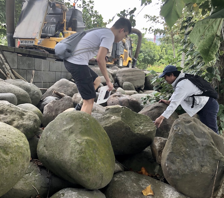 Rock collection at Punggol Point, in collaboration with Sentosa Development Corporation, Building Construction Authority, and the National Parks Board (Source: Lauriane Chardot/Earth Observatory of Singapore)