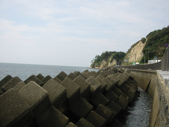 A tsunami wall in Kamakura, Japan (Source: Jim Harper/Wikimedia Commons) A tsunami wall in Kamakura, Japan (Source: Jim Harper/Wikimedia Commons)