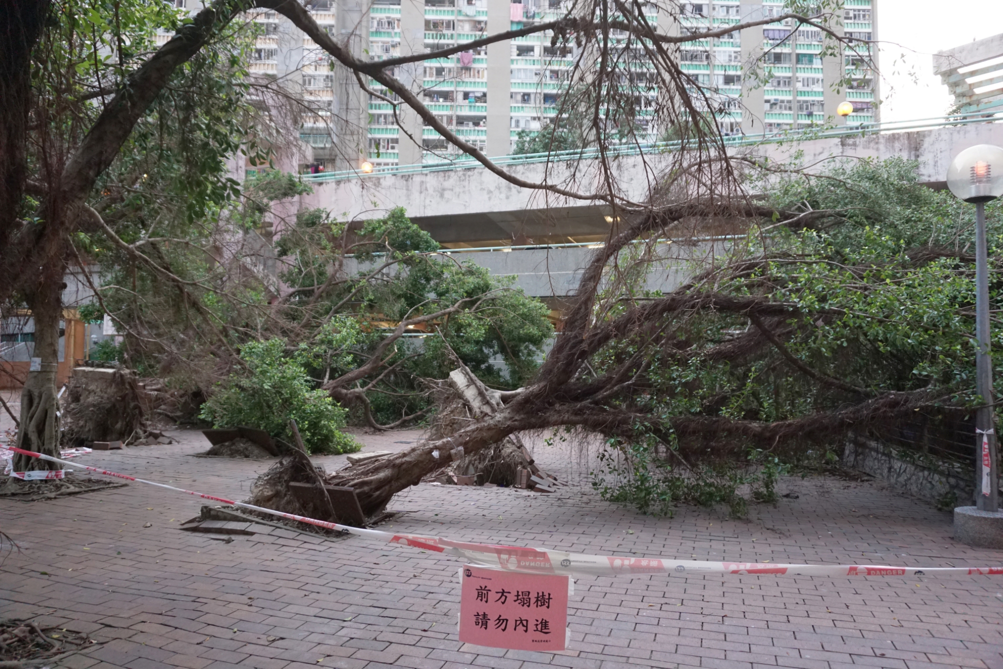 Destruction caused by 2018's Super Typhoon Mangkhut in Kwun Tong, Hong Kong (Source: Prosperity Horizons/Wikimedia Commons)
