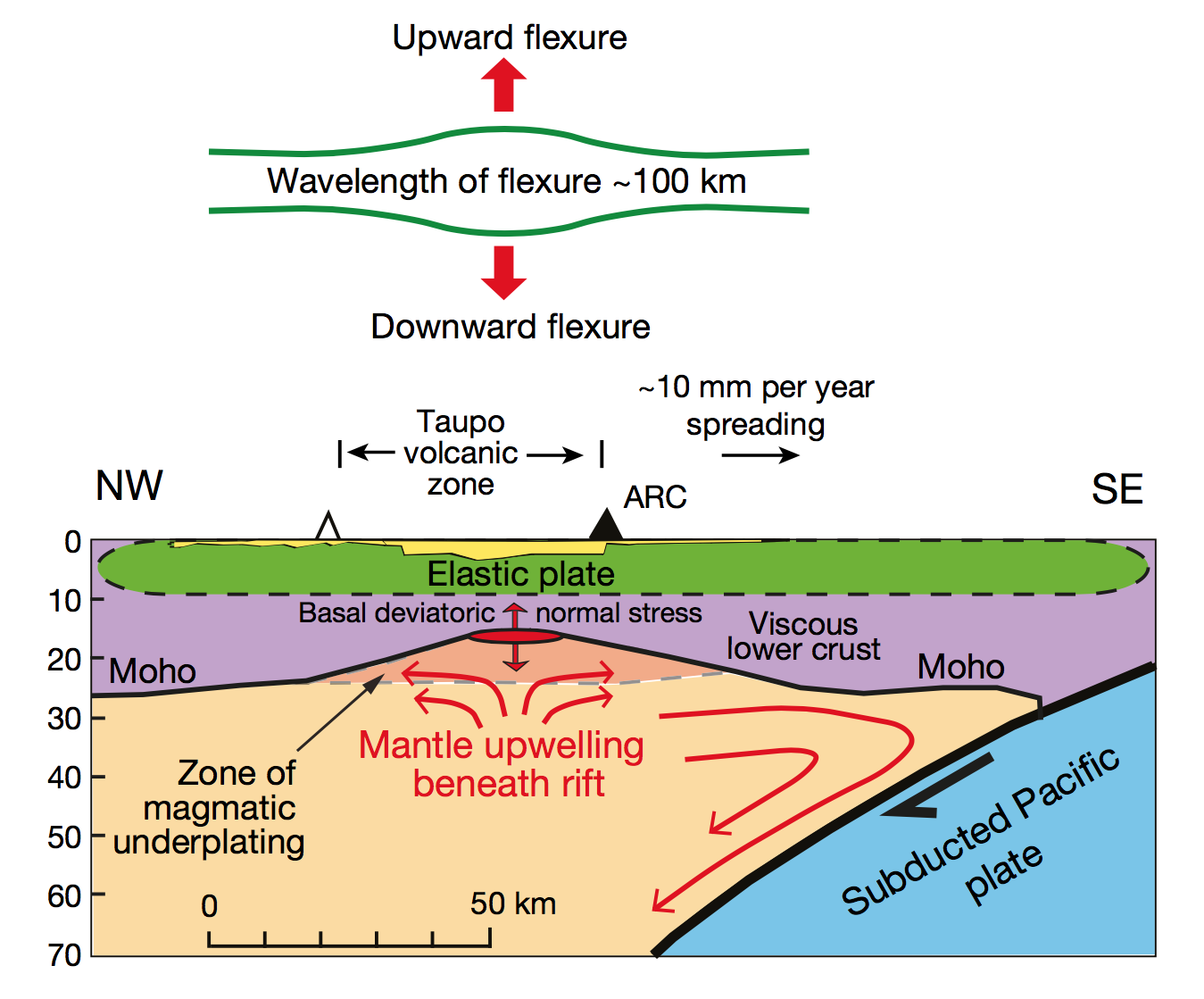 Diagram illustrating the upwelling mantle flow beneath the Taupo Volcanic Zone, which creates a vertical force on an overlying crust (Source: Simon Lamb)