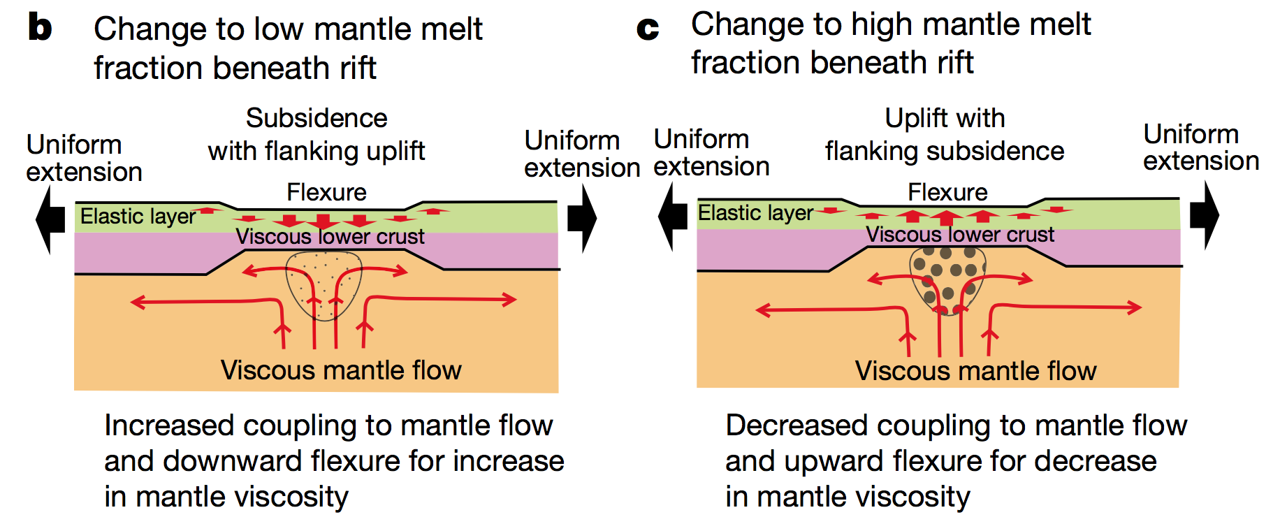 Figure B: If the mantle viscosity undergoes an increase, due to melt extraction, then this will result in a broad symmetrical pattern of subsidence, horizontal contraction and flanking extension. Figure C: However, if melt accumulation near the base of the crust has reduced the viscosity of the underlying mantle, then this will drive uplift. (Source: Simon Lamb)
