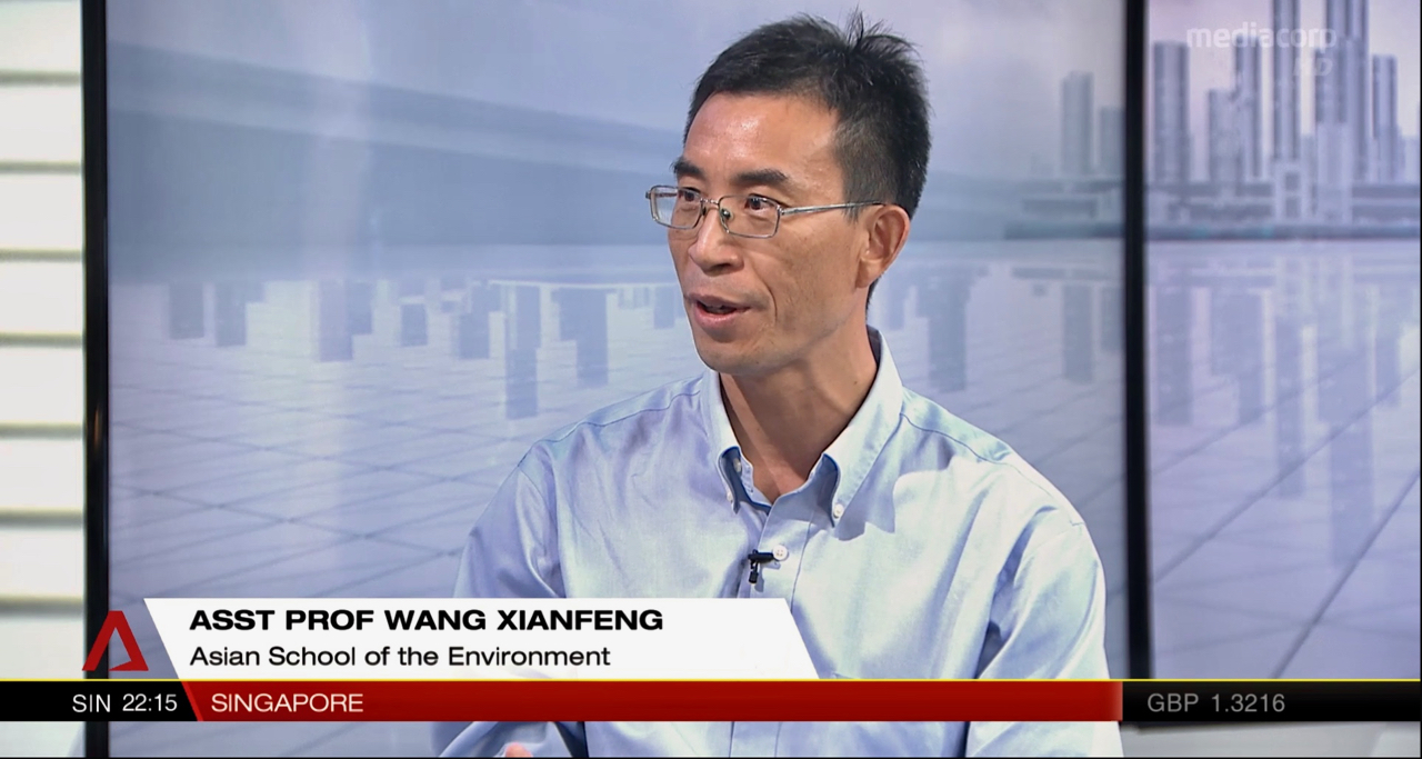 Assistant Professor Wang Xianfeng speaks about the future of Singapore in the face of global warming (Source: Screen grab of interview on Channel NewsAsia)