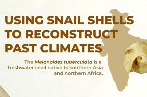 The History of the World's Climate Captured in a Snail’s Shell