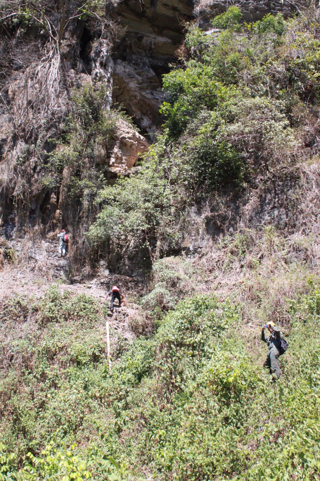 Dr Wang's research team making their way to a cave in Sulawesi (Source: Wang Xianfeng) Dr Wang's research team making their way to a cave in Sulawesi (Source: Wang Xianfeng)