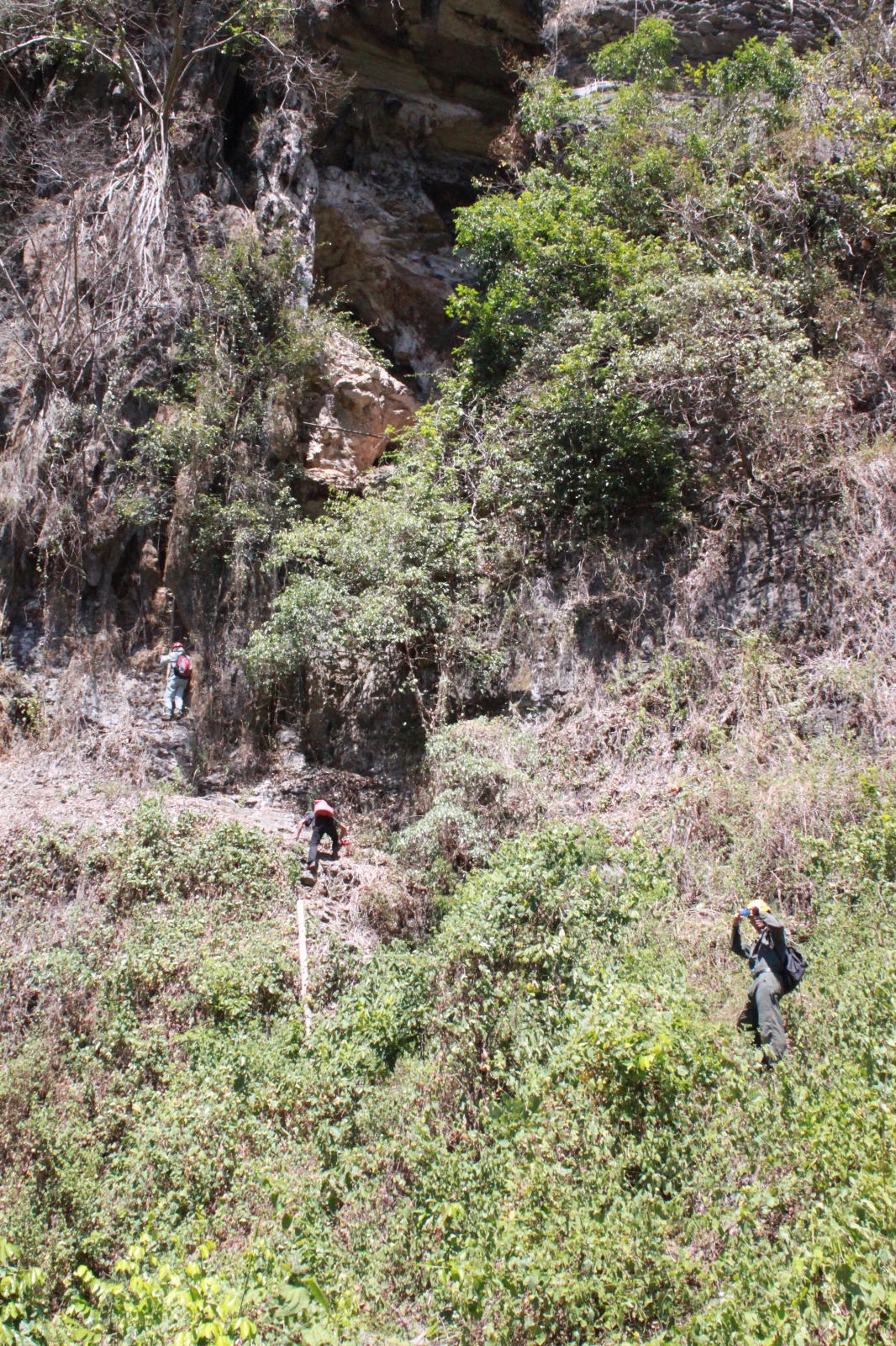 Dr Wang's research team making their way to a cave in Sulawesi (Source: Wang Xianfeng)