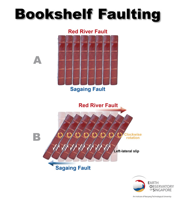 Figure 5. Analogy of the style of deformation in the region around the March 24th Tarlay (Myanmar) earthquake. Motion along the major Sagaing and Red River faults has caused the crust in between to deform as rotating blocks, as when a row of books topples over to the side on a shelf. A series of left-lateral faults slip in between the blocks; the Nan Ma Fault is one of these faults. This mechanism is aptly called