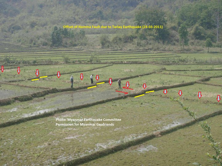Figure 6: Left lateral offset of paddy boundaries caused by slippage of the Nam Ma fault during the earthquake of March 24th. Photo courtesy of Soe Thura Tun of the Myanmar Earthquake Committee.