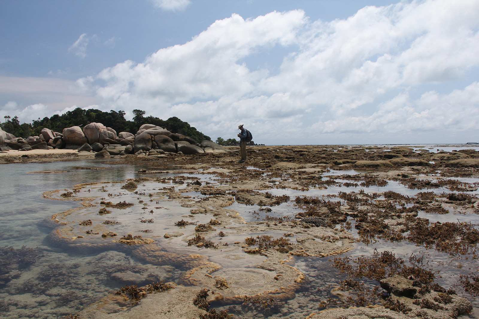 Aron at Mapur Island, Indonesia, 12 April 2012; photo by Imam Suprihanto