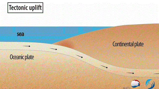 Tectonic Uplift or Subsidence