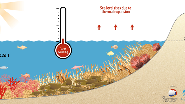 Tipping point of coral reef