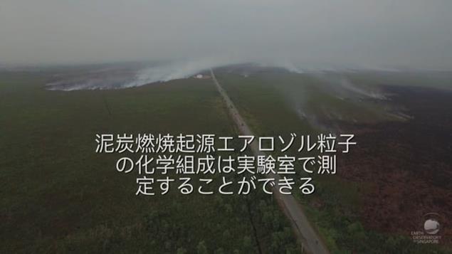 Peat Aerosols (Japanese subtitles)