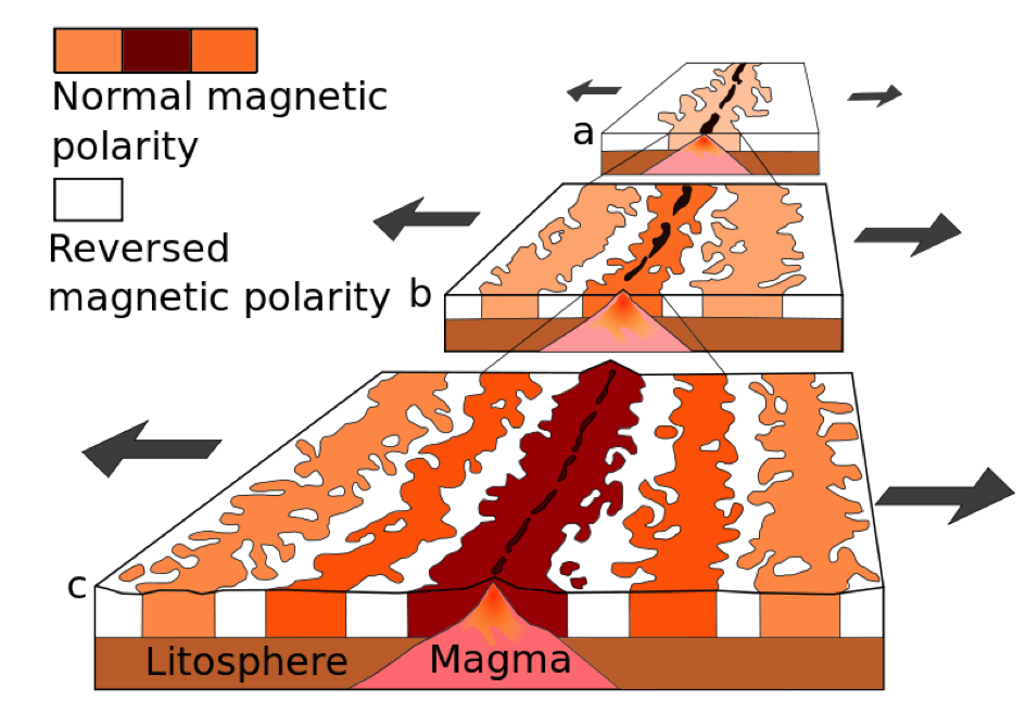 magnetic reversal mid ocean ridges